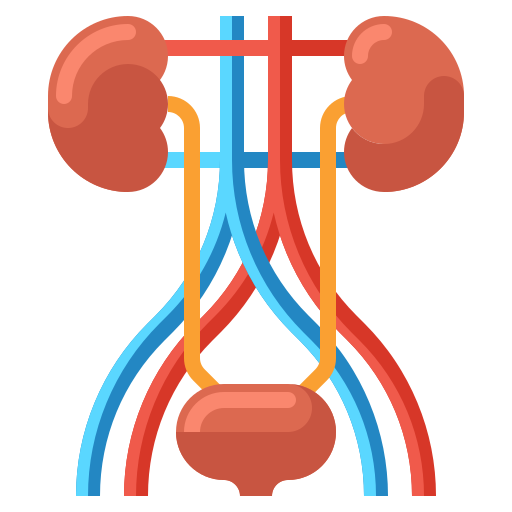 Urological Trauma